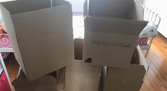 carton-transport-marchandise