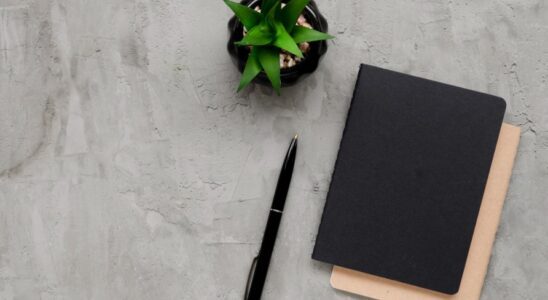 stylo-personnalise-cadeau-entreprise